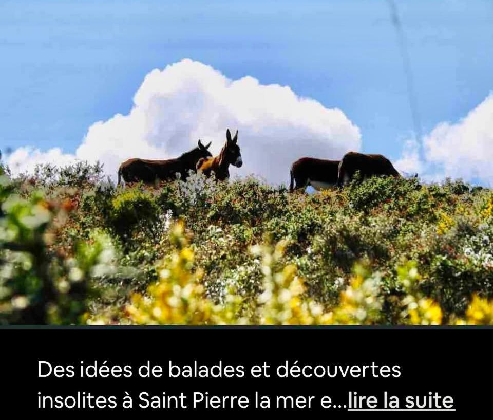 Face A La Mer Fleury Fleury  Exterior foto
